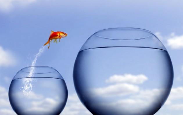 The Fourth Webinar “Are you ready for ERP challenges?” has been achieved